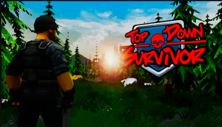 Top Down Survivor